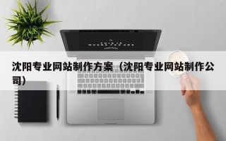 保亭沈阳专业网站制作方案（沈阳专业网站制作公司）